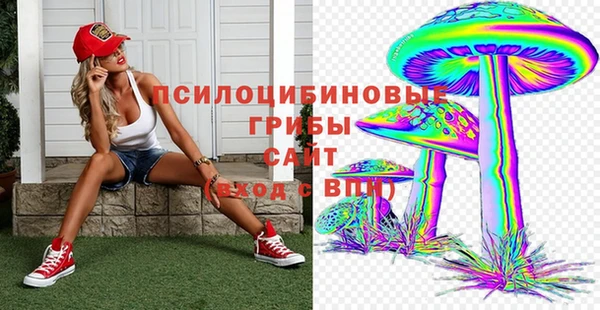 стафф Гусь-Хрустальный